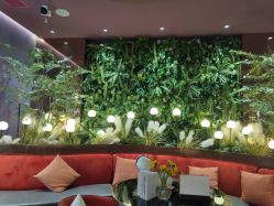 -花隐·美芙炫海菲秀皮肤管理中心