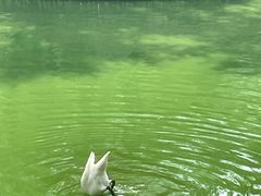 -沈阳森林动物园