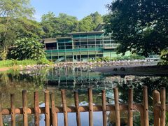 -新加坡飞禽公园