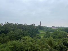 -广州莲花山旅游区