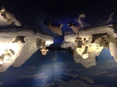 泰迪熊博物馆-成都泰迪熊博物馆