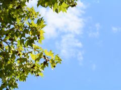 -宜兴龙背山森林公园