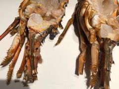 -额尔敦牛厨师铜板烧