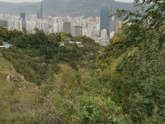 -白塔山公园