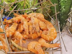 -广州万富希尔顿酒店-感趣自助餐厅·生蚝海鲜刺身