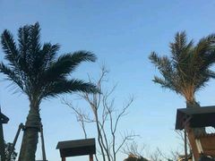 -苏州湾王焰温泉度假酒店