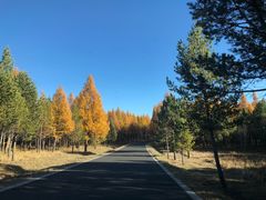 -塞罕坝国家级自然保护区