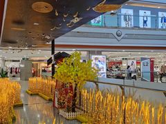 -巴黎春天(浦建店)