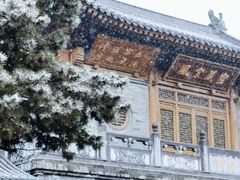 -西安大兴善寺