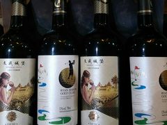 -文成城堡