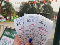 -上海海湾国家森林公园