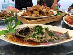 -七鲜渔港美食餐厅(巽寮湾海景店)