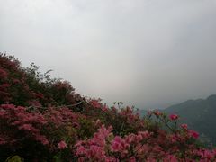 -木兰云雾山