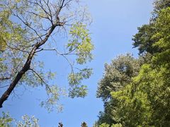 -九寨沟石锅鱼(沣峪口二十年店)