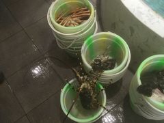 -徐记海鲜·宴会(大唐西市|丰庆店)