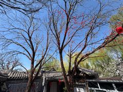 -悦真雅院·四合院·清真私房菜(雍和宫店)