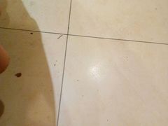 android_upload_pic-石门豆腐王(九中街店)