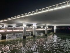 -演武大桥观景平台