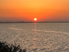-贡湖湾湿地公园