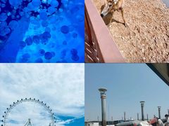 -巧克力渔家.小船海鲜胶东菜(万平口店)