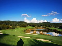 -阳光高尔夫俱乐部