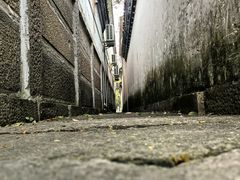 -鲁镇