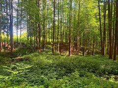 -山王坪喀斯特国家生态公园