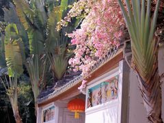 -深圳国际园林花卉博览园