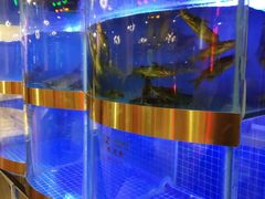 -蛙一刀·麻椒鱼火锅(金仙桥店)