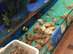 水产区-蓝港海鲜厨房(金水路店)