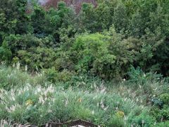 -仙海旅游度假区