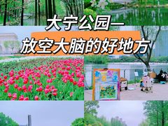 -大宁公园