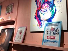 -百好乐宠物友好餐厅(朝外大街店)