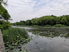 -新江湾城公园