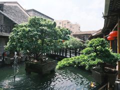 -猪肉婆私房菜(容桂总店)
