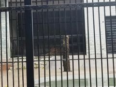 -广东茂名森林公园