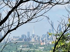 -火炉山森林公园