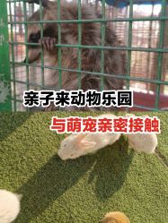 -萌宠亲子动物乐园(槐房万达店)