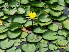-大连植物园