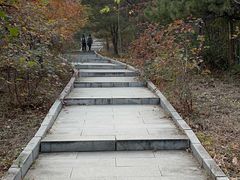 -北京西山国家森林公园