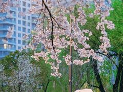 -西北湖绿化广场