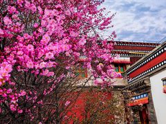 -塔尔寺游客服务中心