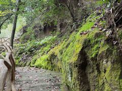 -浮山风景名胜区