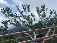 -少华山国家森林公园