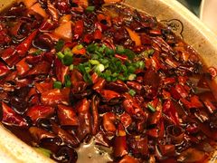 -陈麻婆豆腐总店