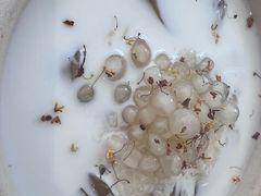 -肥朵食堂(带梦胡同店)