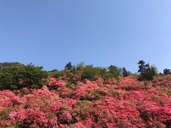 -木兰云雾山