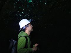 -怀托摩萤火虫洞