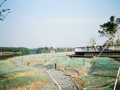 -海珠湖公园