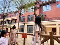-灵玲国际马戏城